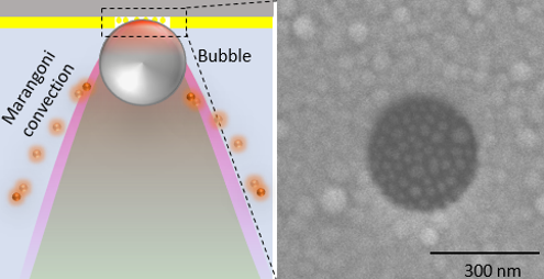 Overcoming Diffusion-Limited Trapping in Nanoaperture Tweezers Using Opto-Thermal-Induced Flow — figure 1 of 1