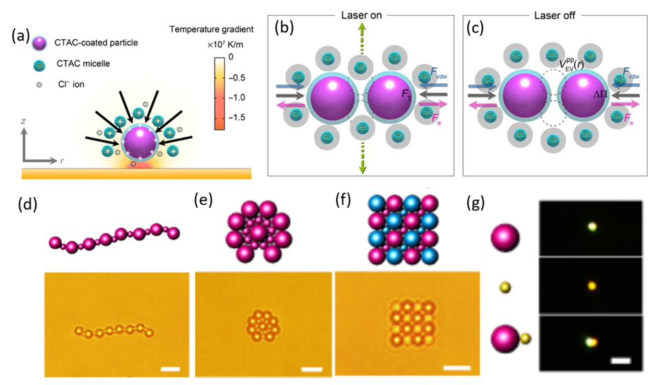 Digital Assembly of Colloidal Particles for Nanoscale Manufacturing — figure 1 of 1