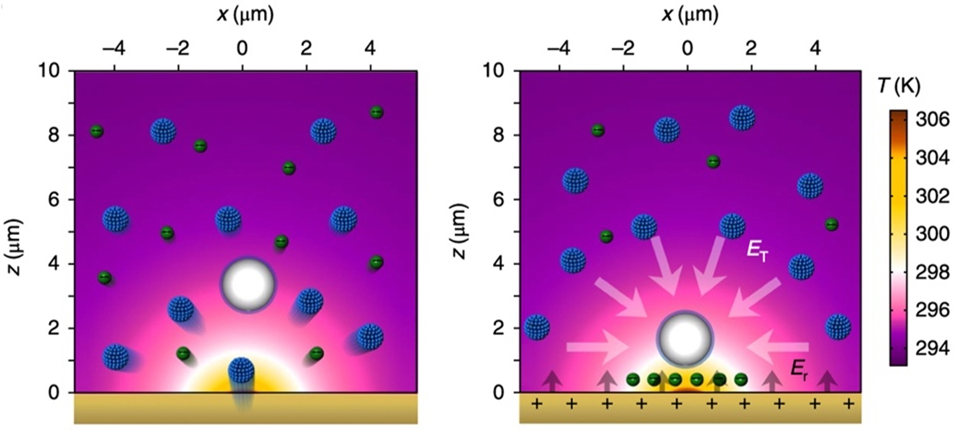 Opto-Thermoelectric Tweezers: Principles and Applications — figure 1 of 1
