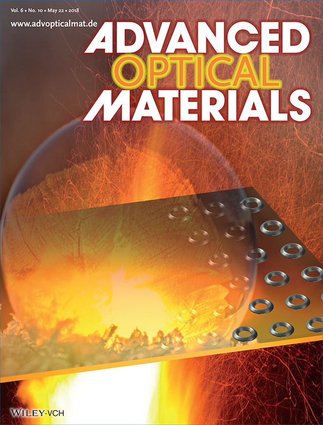 “Point-and-Shoot” Synthesis of Metallic Ring Arrays and Surface-Enhanced Optical Spectroscopy — figure 2 of 2