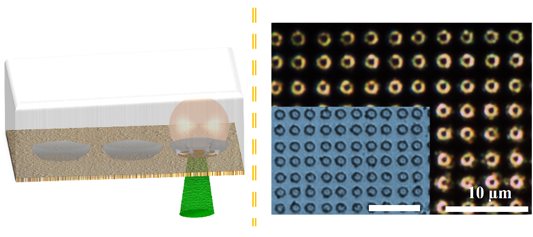 “Point-and-Shoot” Synthesis of Metallic Ring Arrays and Surface-Enhanced Optical Spectroscopy — figure 1 of 2
