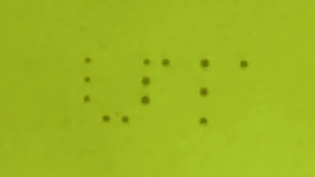 Light-Directed Reversible Assembly of Plasmonic Nanoparticles Using Plasmon-Enhanced Thermophoresis — figure 1 of 2