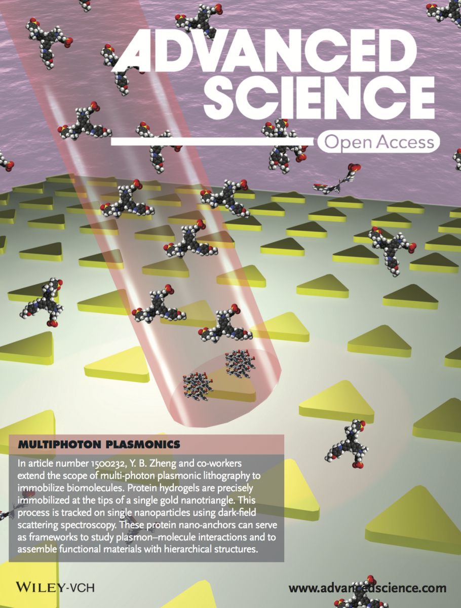 Regioselective Localization and Tracking of Biomolecules on Single Gold Nanoparticles — figure 1 of 1