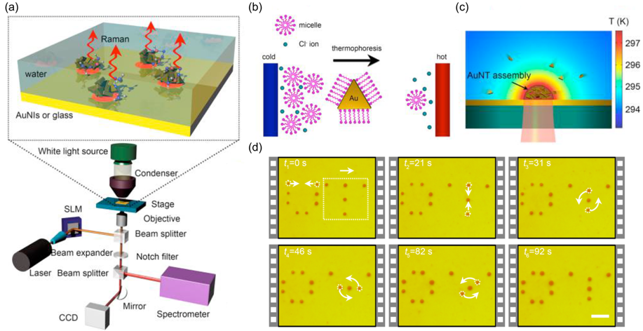 Plasmofluidics for Biosensing and Medical Diagnostics — figure 1 of 1