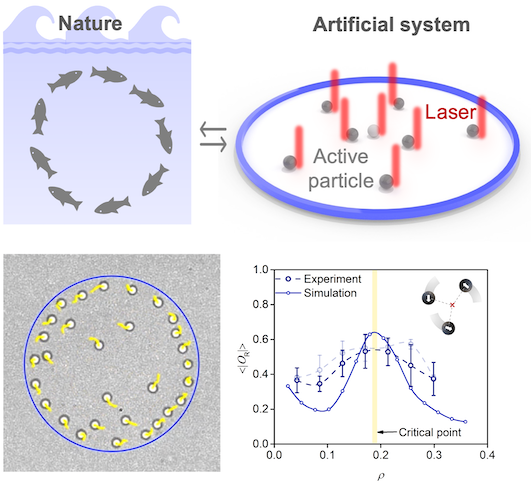 Synchronous and Fully Steerable Active Particle Systems for Enhanced Mimicking of Collective Motion in Nature — figure 1 of 2