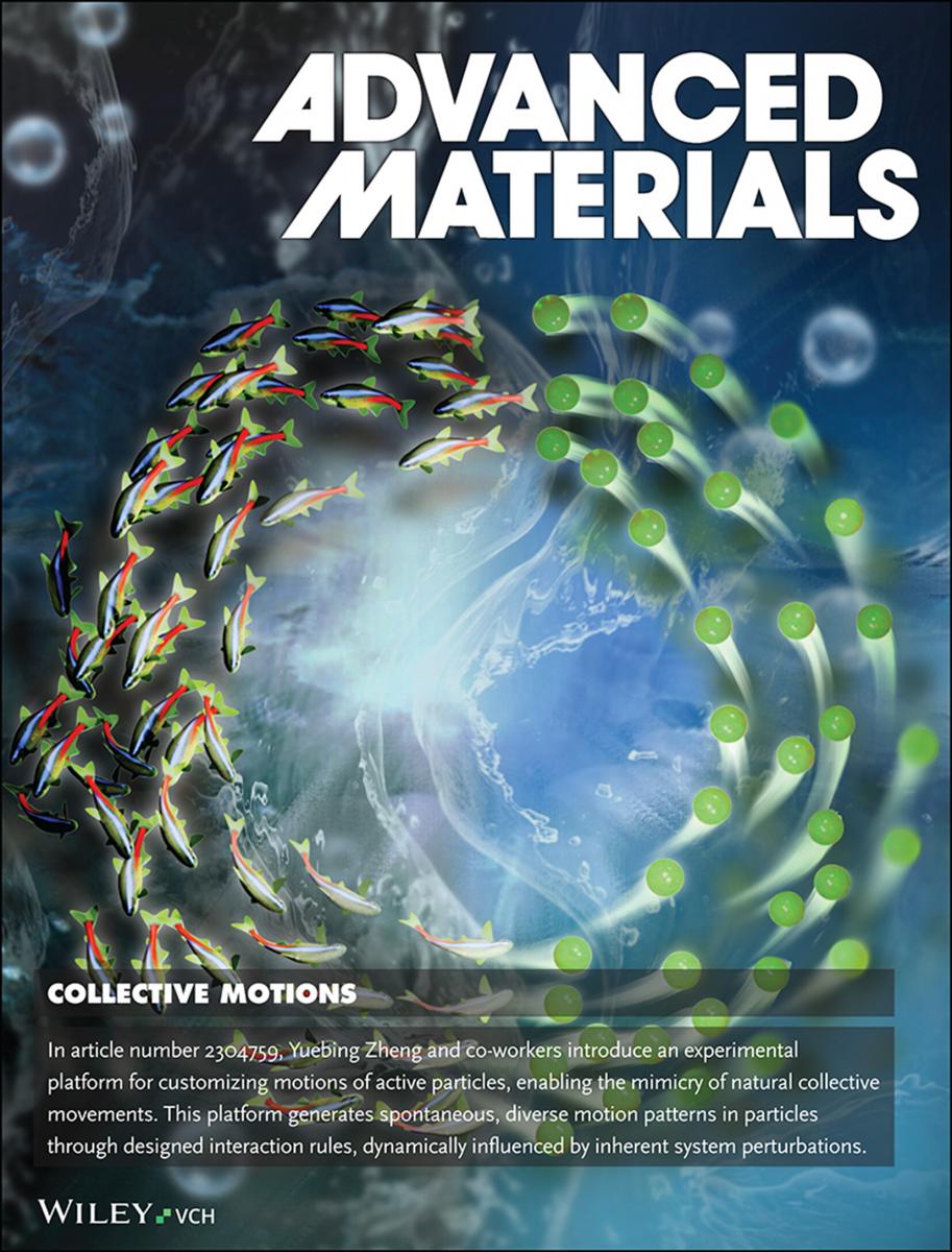 Synchronous and Fully Steerable Active Particle Systems for Enhanced Mimicking of Collective Motion in Nature — figure 2 of 2