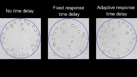 Persistent and Responsive Collective Motion with Adaptive Time Delay — figure 1 of 1