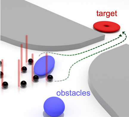 Long-Distance Autonomous Navigation of Optical Microrobotic Swarms in Complex Environments — figure 1 of 2