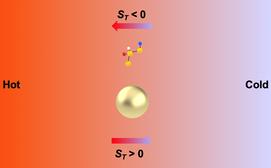 Plasmon-Enhanced Optothermal Manipulation — figure 1 of 1