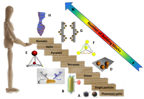 Optically Active Plasmonic Resonance in Self-Assembled Nanostructures — figure 1 of 1