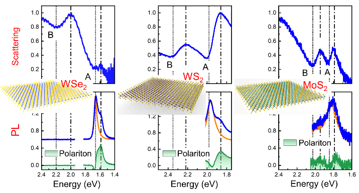 Observation of Room-Temperature Exciton-Polariton Emission from Wide-Ranging 2D Semiconductors Coupled with a Broadband Mie Resonator — figure 1 of 1
