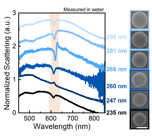 Room-Temperature Observation of Near-Intrinsic Exciton Linewidth in Monolayer WS2 — figure 1 of 2