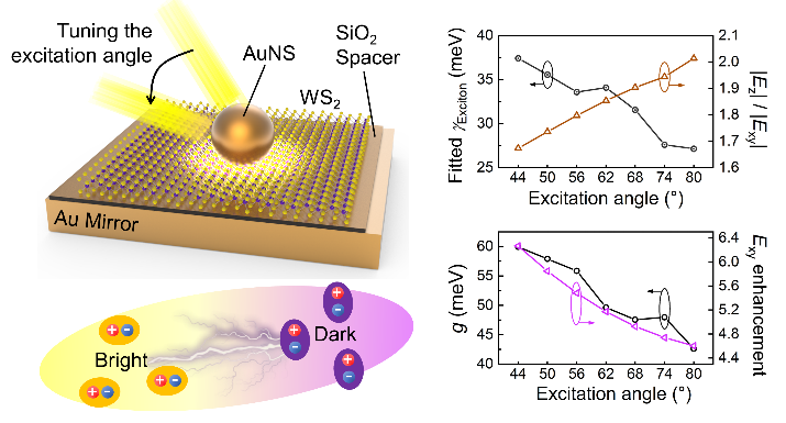 Tunable Couplings of Photons with Bright and Dark Excitons in Monolayer Semiconductors on Plasmonic-Nanosphere-on-Mirror Cavities — figure 1 of 2