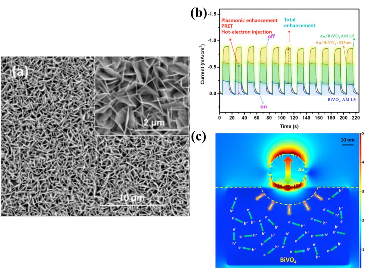 Plasmon-Enhanced Nanoporous BiVO4 Photoanodes for Efficient Photoelectrochemical Water Oxidation — figure 1 of 1