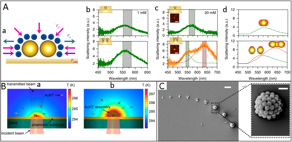 Assembly of Plasmonic Nanoparticles — figure 1 of 1