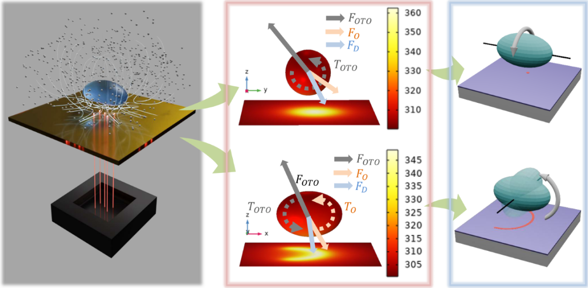 Programmable Rotation of Single Cells Along Arbitrary Axes via Opto-Thermo-Osmotic Torque — figure 1 of 1