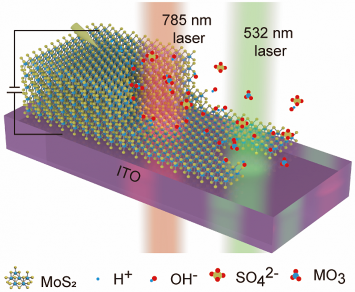 Self-Limiting Opto-Electrochemical Thinning of Transition Metal Dichalcogenides — figure 1 of 1