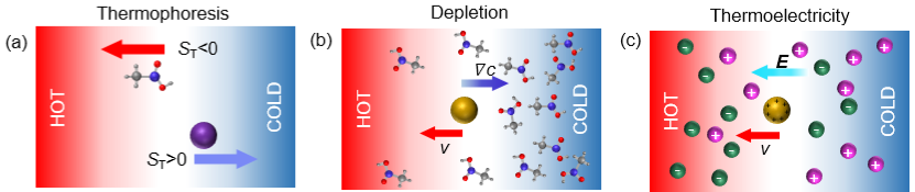 Opto-Thermophoretic Tweezers and Assembly — figure 1 of 1