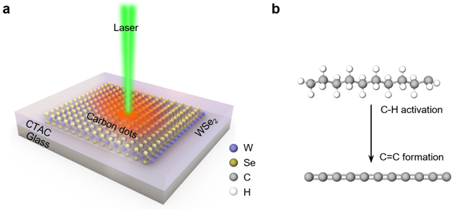 Light-Driven C-H Activation Mediated by 2D Transition Metal Dichalcogenides — figure 1 of 1