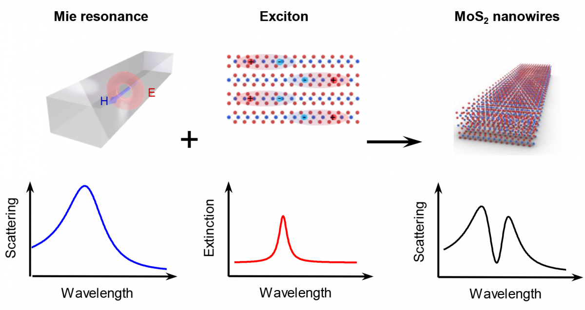 Tunable Strong Coupling in Transition Metal Dichalcogenide Nanowires — figure 1 of 2