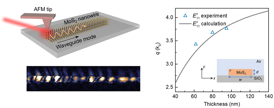 Near-Field Nanoimaging of Colloidal Transition Metal Dichalcogenide Waveguides — figure 1 of 1