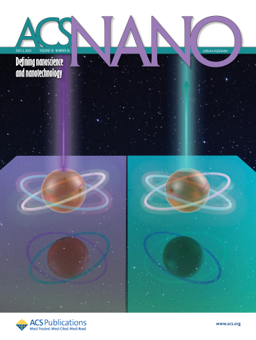 Tuning Multipolar Mie Scattering of Particles on a Dielectric-Covered Mirror — figure 2 of 2