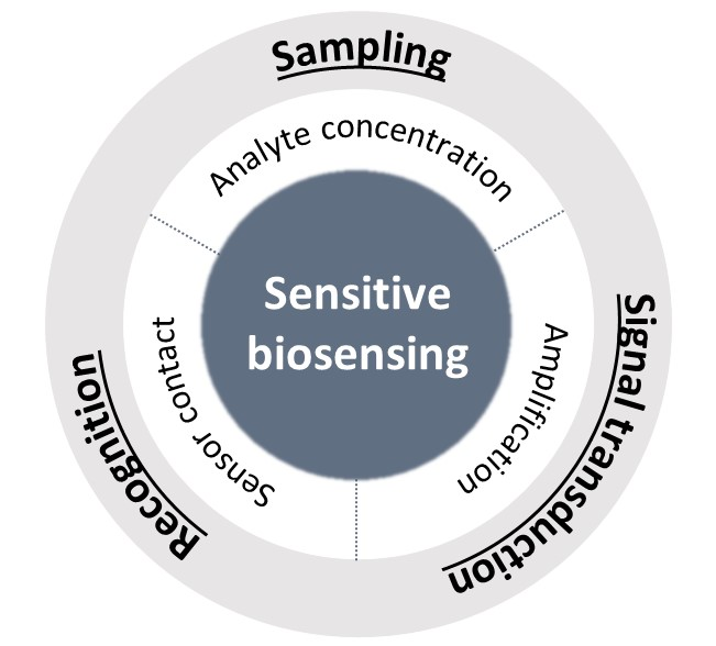 Sensitivity-Enhancing Strategies in Optical Biosensing — figure 1 of 2
