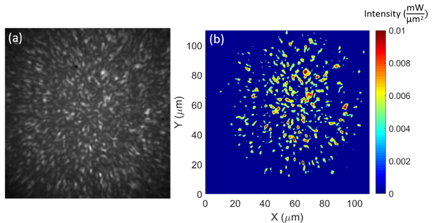 Opto-Thermoelectric Speckle Tweezers — figure 1 of 1