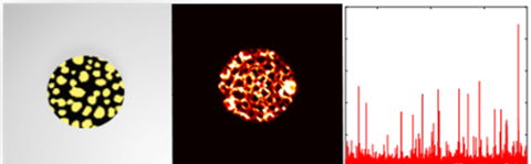 Enhancing Single-Molecule Fluorescence Spectroscopy with Simple and Robust Hybrid Nanoapertures — figure 1 of 1