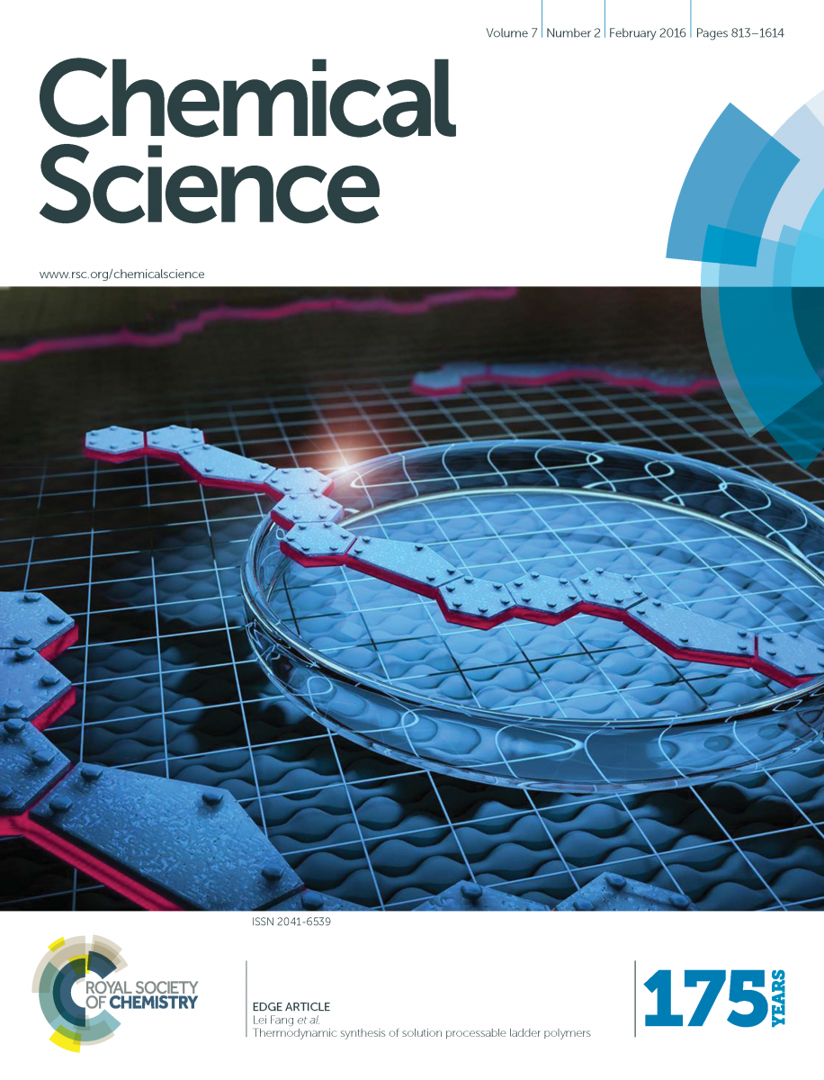 Thermodynamic Synthesis Of Solution Processable Ladder Polymers — figure 1 of 1