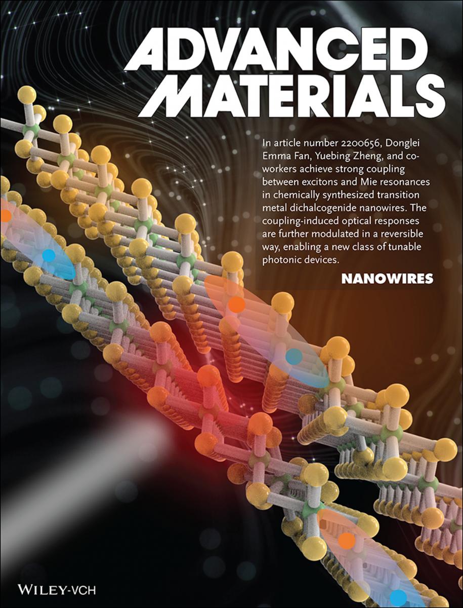 Tunable Strong Coupling in Transition Metal Dichalcogenide Nanowires — figure 2 of 2