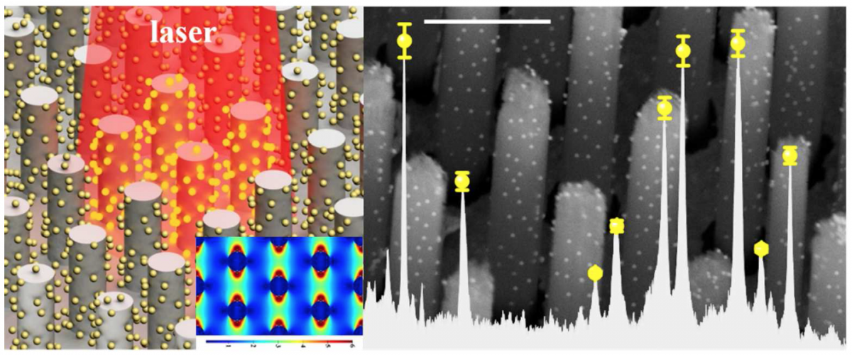Large-Area Au-Nanoparticle-Functionalized Si Nanorod Arrays for Spatially Uniform Surface-Enhanced Raman Spectroscopy — figure 1 of 1