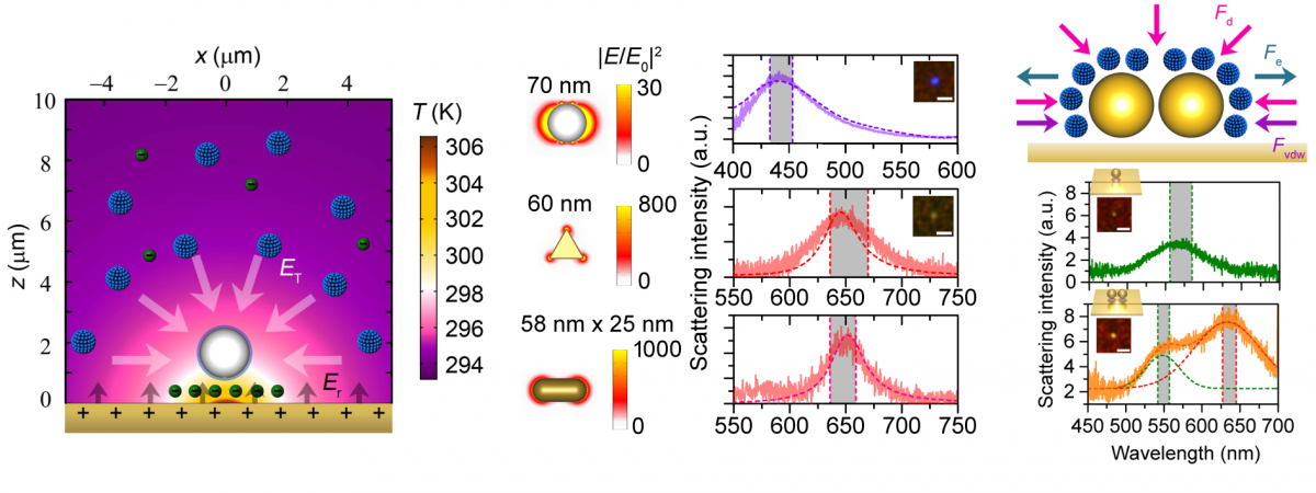 Manipulating Nanoparticles in an Opto-Thermoelectric Field — figure 1 of 3