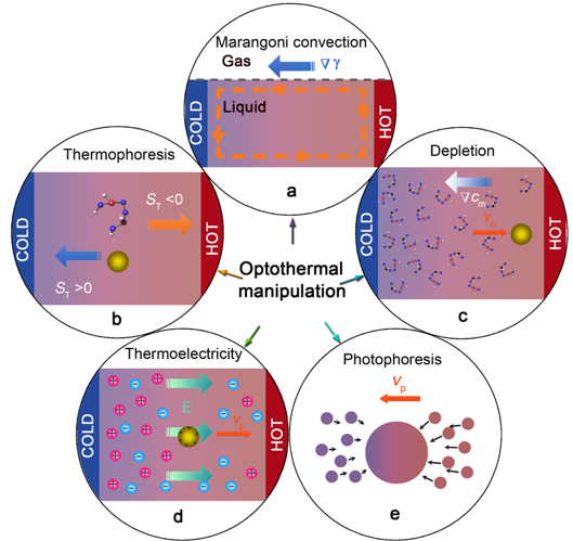 Optothermal Manipulations of Colloidal Particles and Living Cells — figure 1 of 2