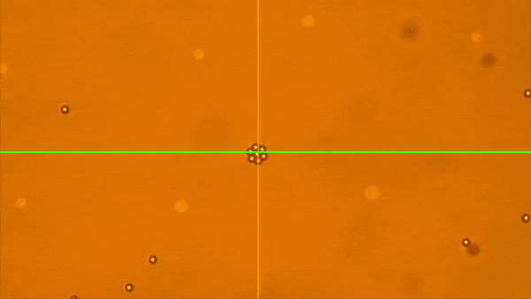 Opto-Thermophoretic Assembly of Colloidal Matter — figure 1 of 2