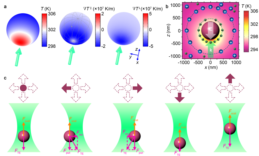 Opto-Thermoelectric Pulling of Light-Absorbing Particles — figure 1 of 1