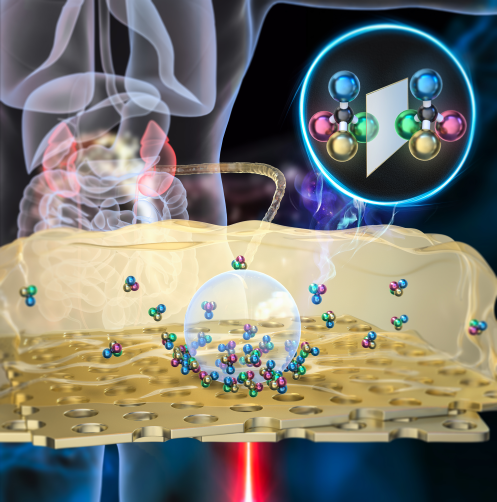 Chirality in Nanomaterials — figure 1 of 1