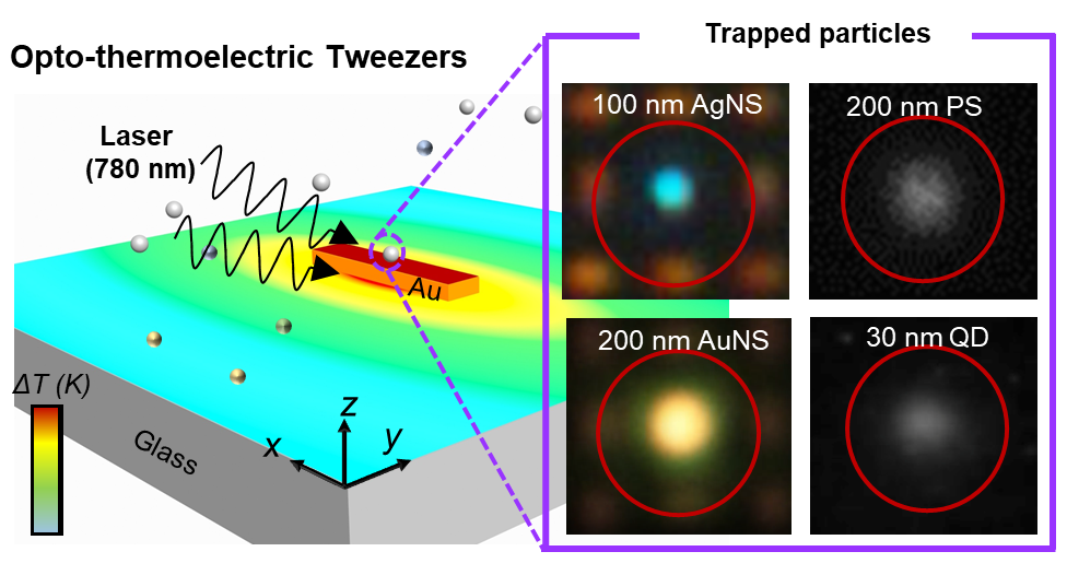 Nanoradiator-Mediated Deterministic Opto-Thermoelectric Manipulation — figure 1 of 1