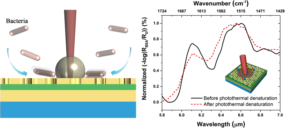 Dual-Band Moiré Metasurface Patches for Multifunctional Biomedical Applications — figure 1 of 1