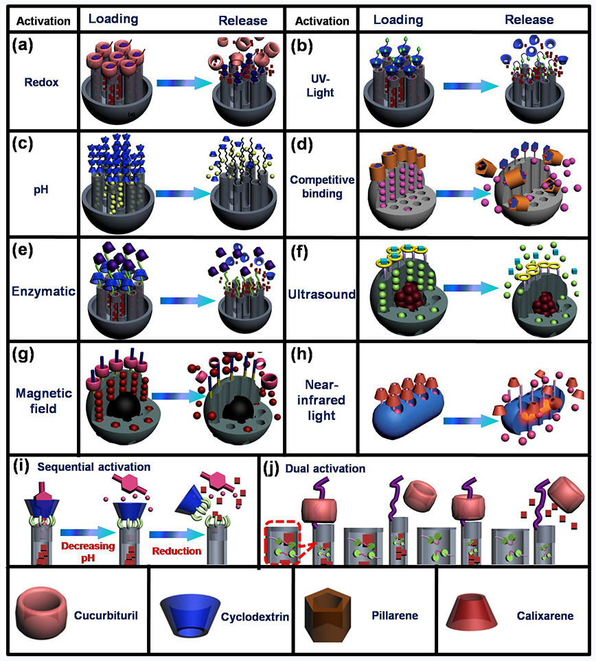 Nanoparticles Functionalized with Supramolecular Host-Guest Systems for Nanomedicine and Healthcare — figure 1 of 1