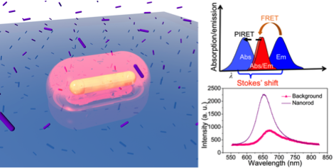 Molecular-Fluorescence Enhancement via Blue-Shifted Plasmon-Induced Resonance Energy Transfer — figure 1 of 1