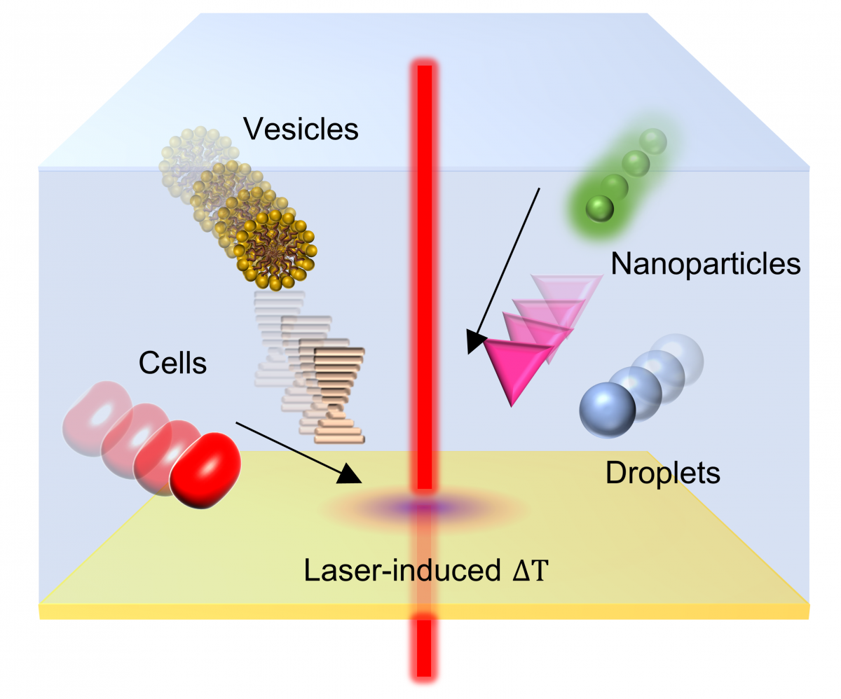 Optical Manipulation Heats Up: Present and Future of Optothermal Manipulation — figure 1 of 1