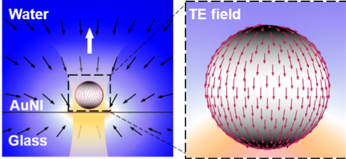 Thermo-Electro-Mechanics at Individual Particles in Complex Colloidal Systems — figure 1 of 2
