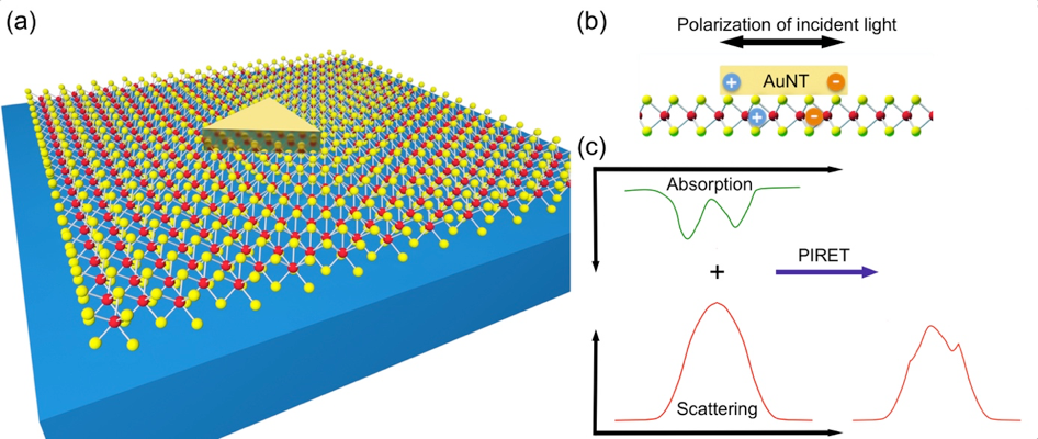 Plasmon-Trion and Plasmon-Exciton Resonance Energy Tranfer from a Single Plasmonic Nanoparticle to Monolayer MoS2 — figure 1 of 2