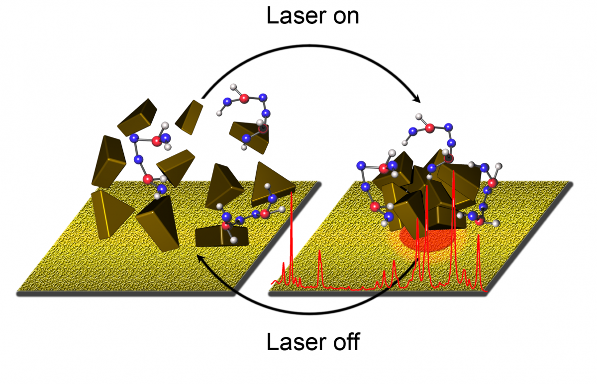 Light-Directed Reversible Assembly of Plasmonic Nanoparticles Using Plasmon-Enhanced Thermophoresis — figure 2 of 2
