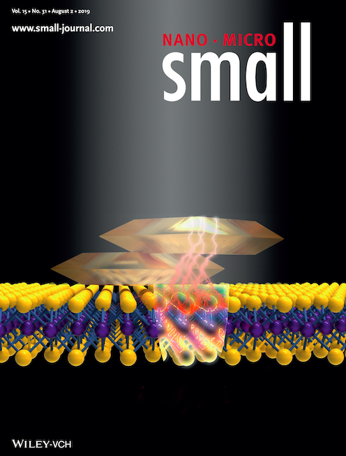 Dark-Exciton-Mediated Fano Resonance from a Single Gold Nanostructure on Monolayer WS2 at Room Temperature — figure 2 of 2