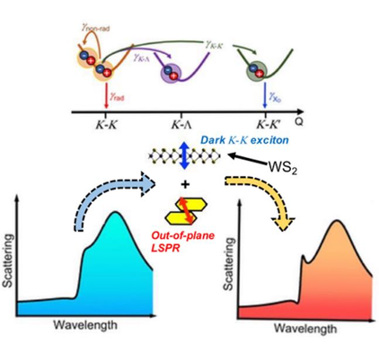 Dark-Exciton-Mediated Fano Resonance from a Single Gold Nanostructure on Monolayer WS2 at Room Temperature — figure 1 of 2