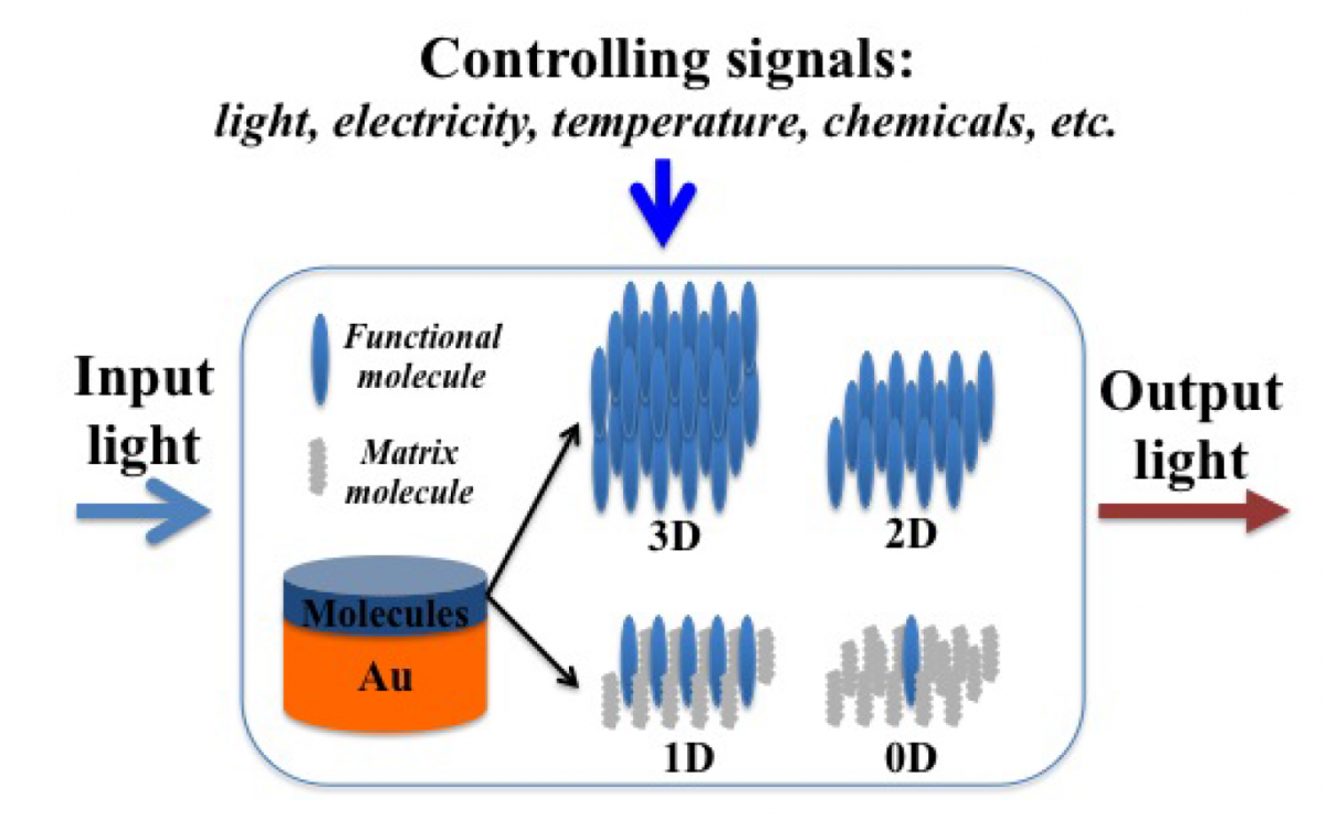 Active Molecular Plasmonics: Tuning Surface Plasmon Resonances by Exploiting Molecular Dimensions — figure 1 of 1