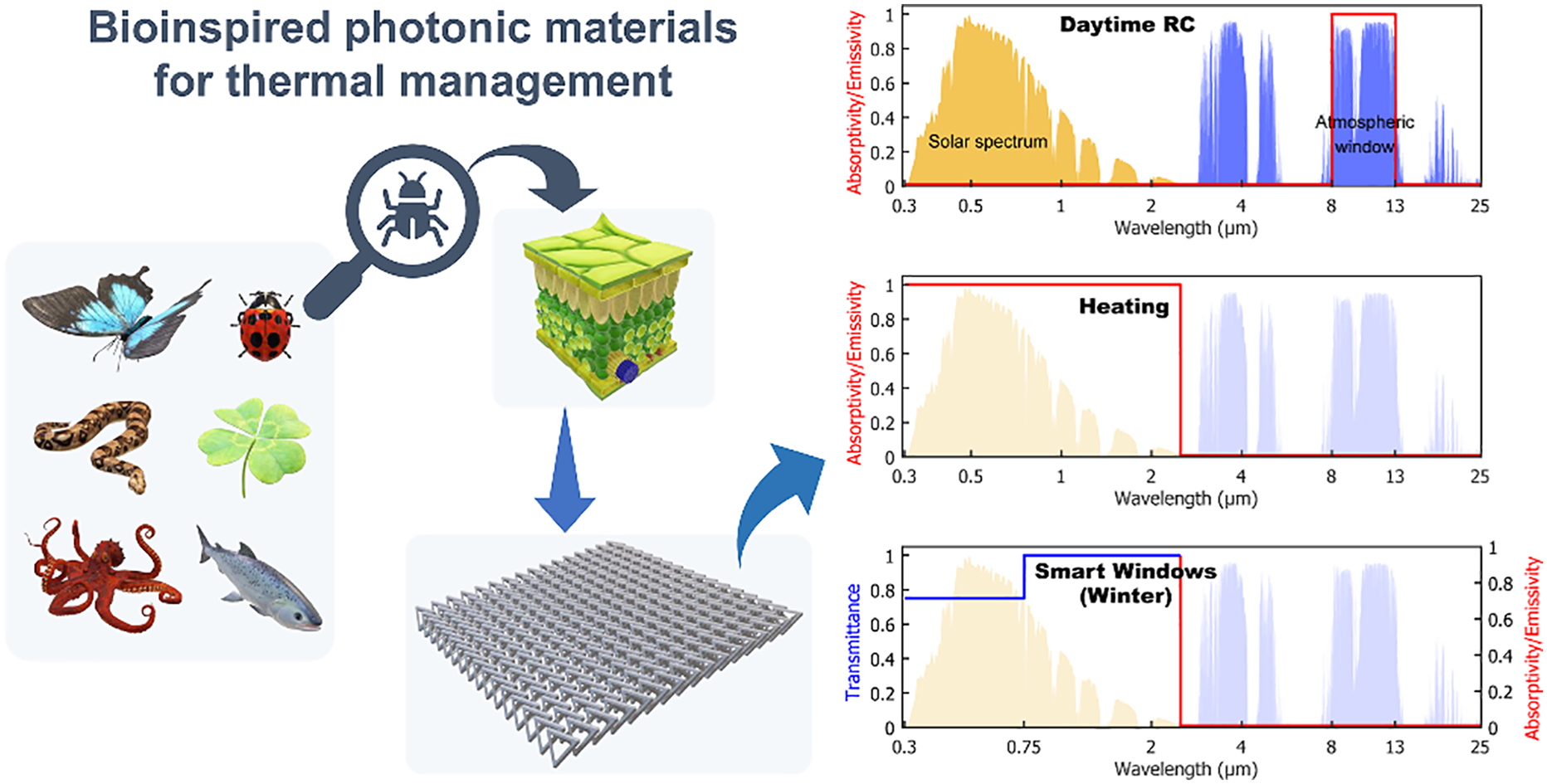 Bioinspired Photonic Materials for Advanced Thermal Management — figure 1 of 1